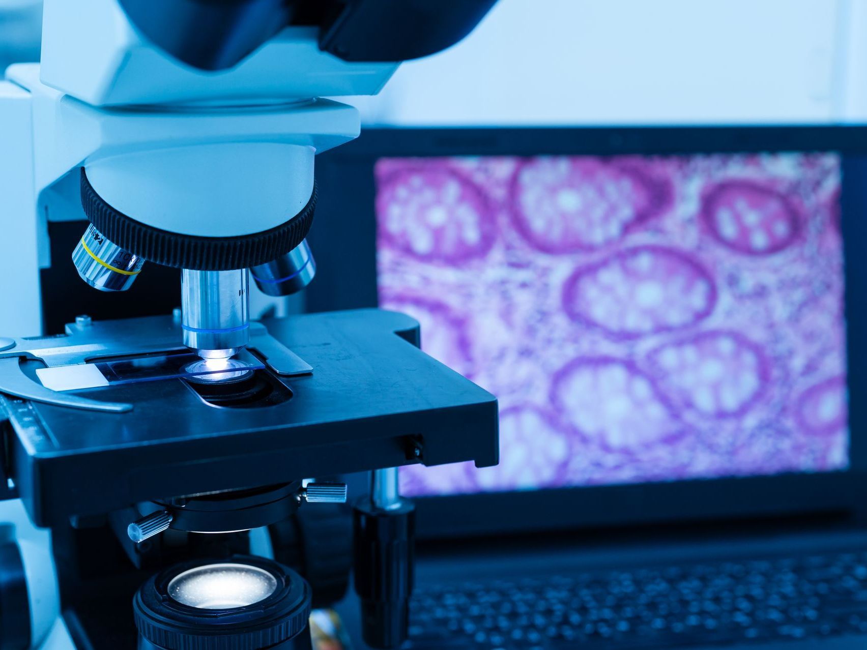 A microscope with a purple screen behind it