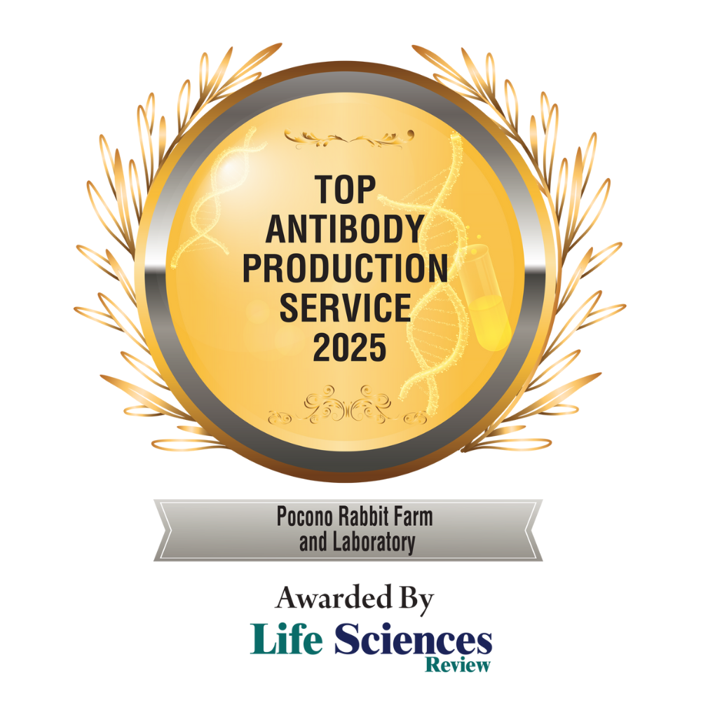 Top Antibody Production Service 2025