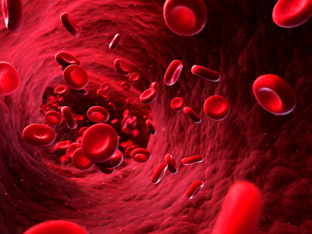 Red Blood Cells