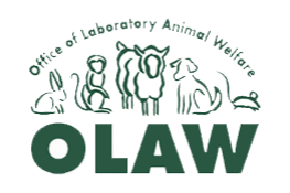 OLAW Logo