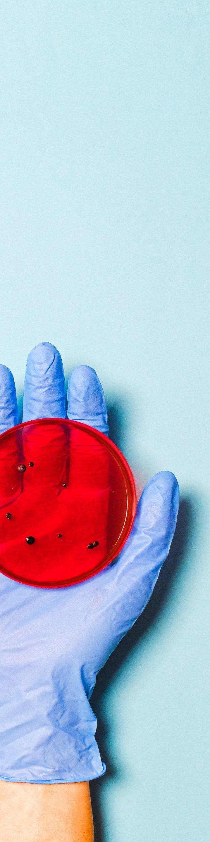 A person wearing a blue glove is holding a red object in their hand.