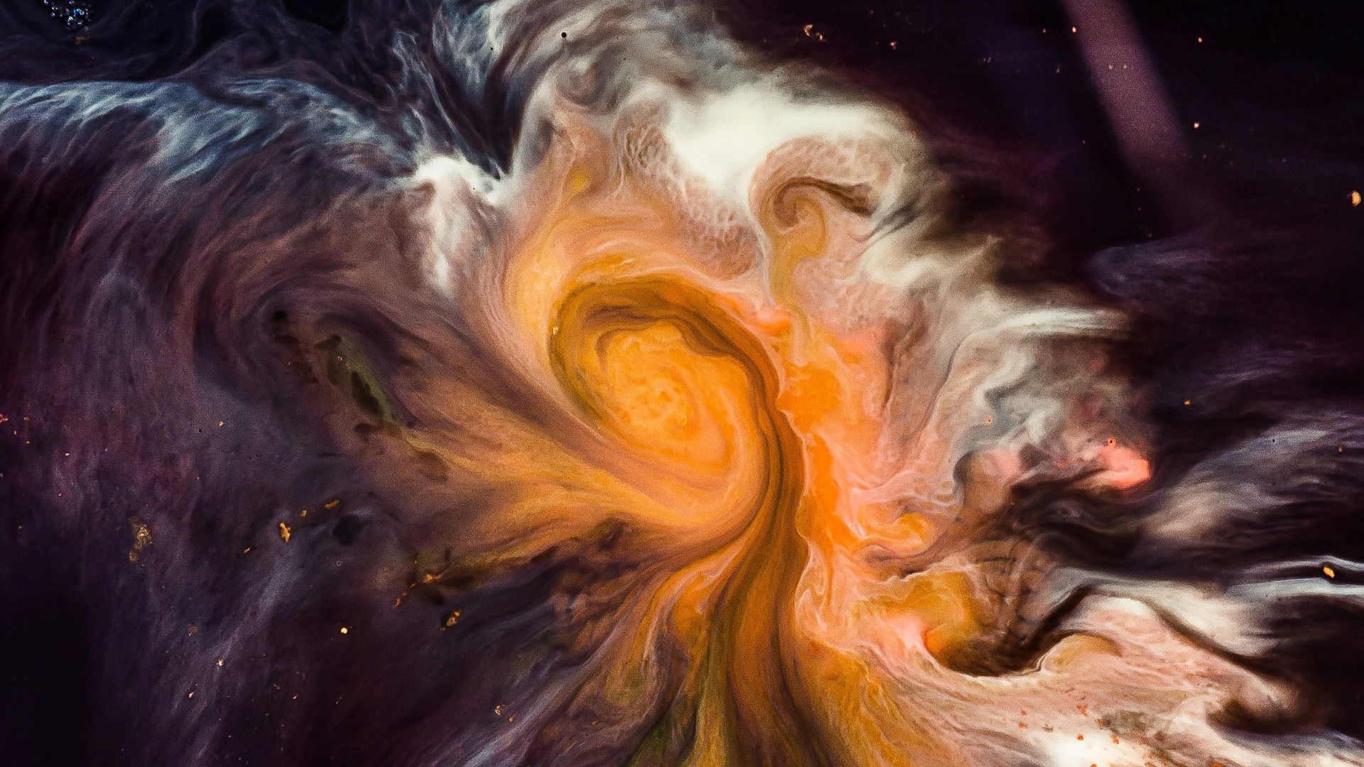 Image of a cosmos