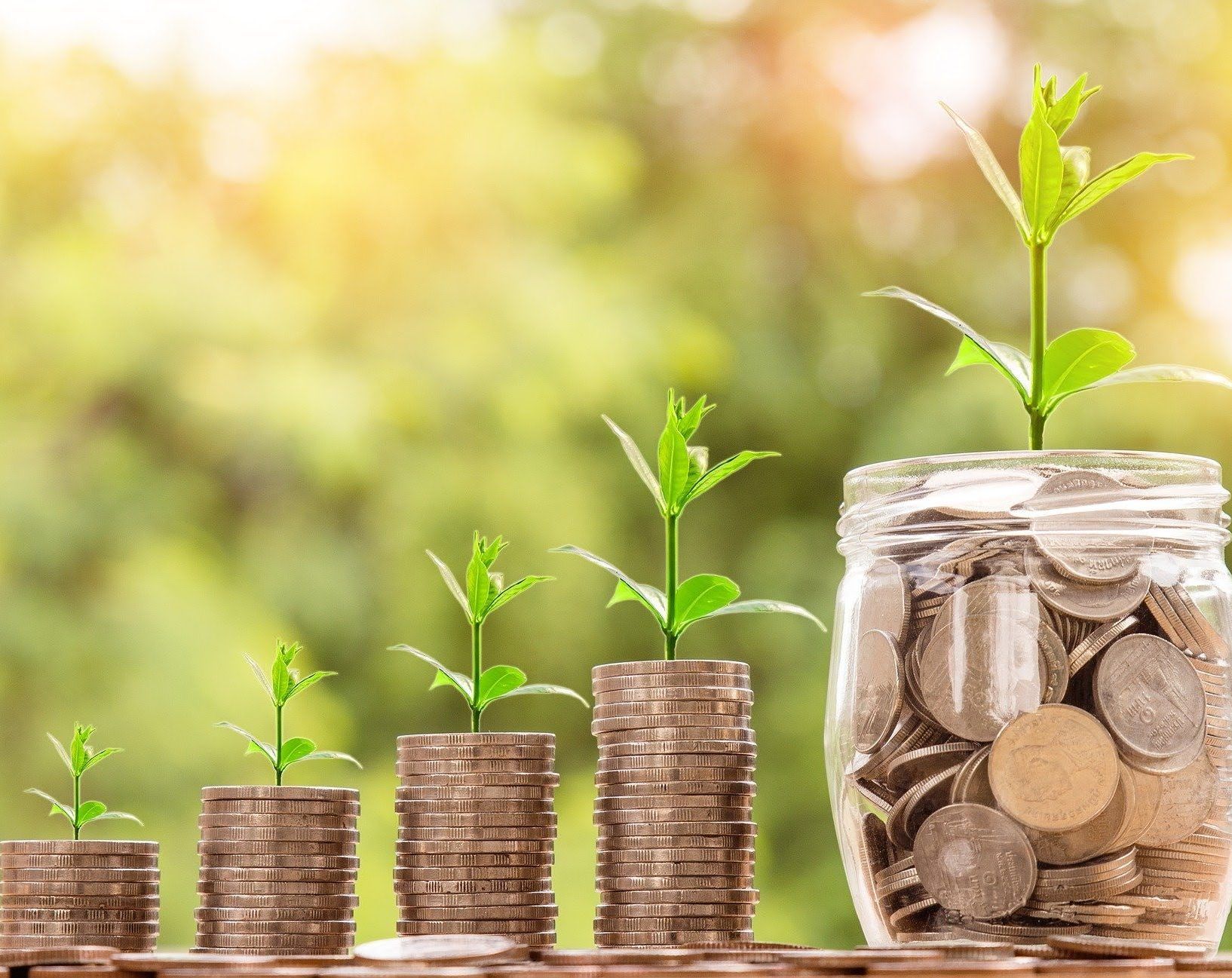 A jar filled with stacks of coins with plants growing out of them.