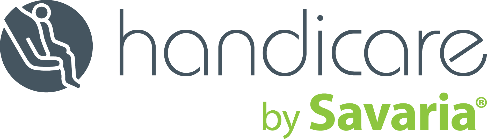 logo handicare