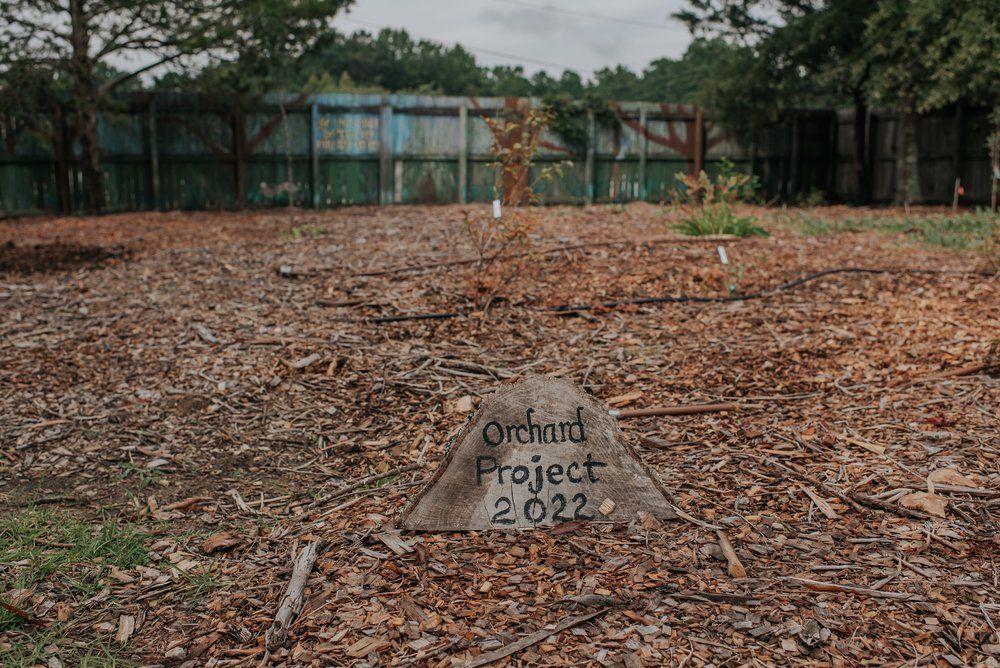 There is a rock in the middle of a pile of mulch that says `` orchard project 2022 ''.