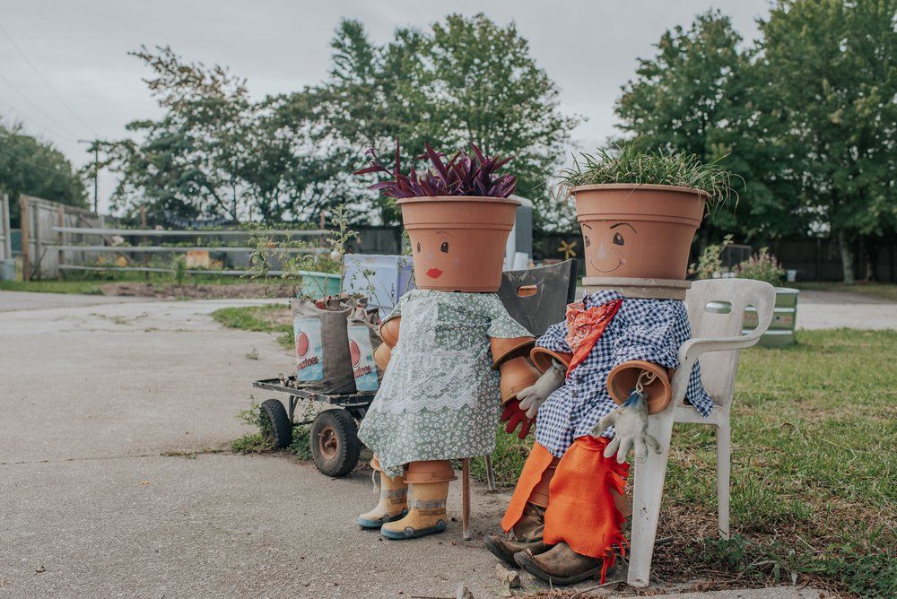 A couple of potted plants sitting next to each other on a sidewalk.