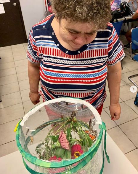 A woman in a striped shirt is looking at a butterfly in a cage