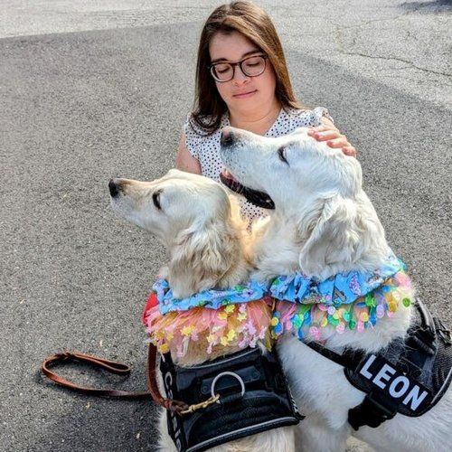 A woman is kneeling down next to two dogs wearing harnesses.