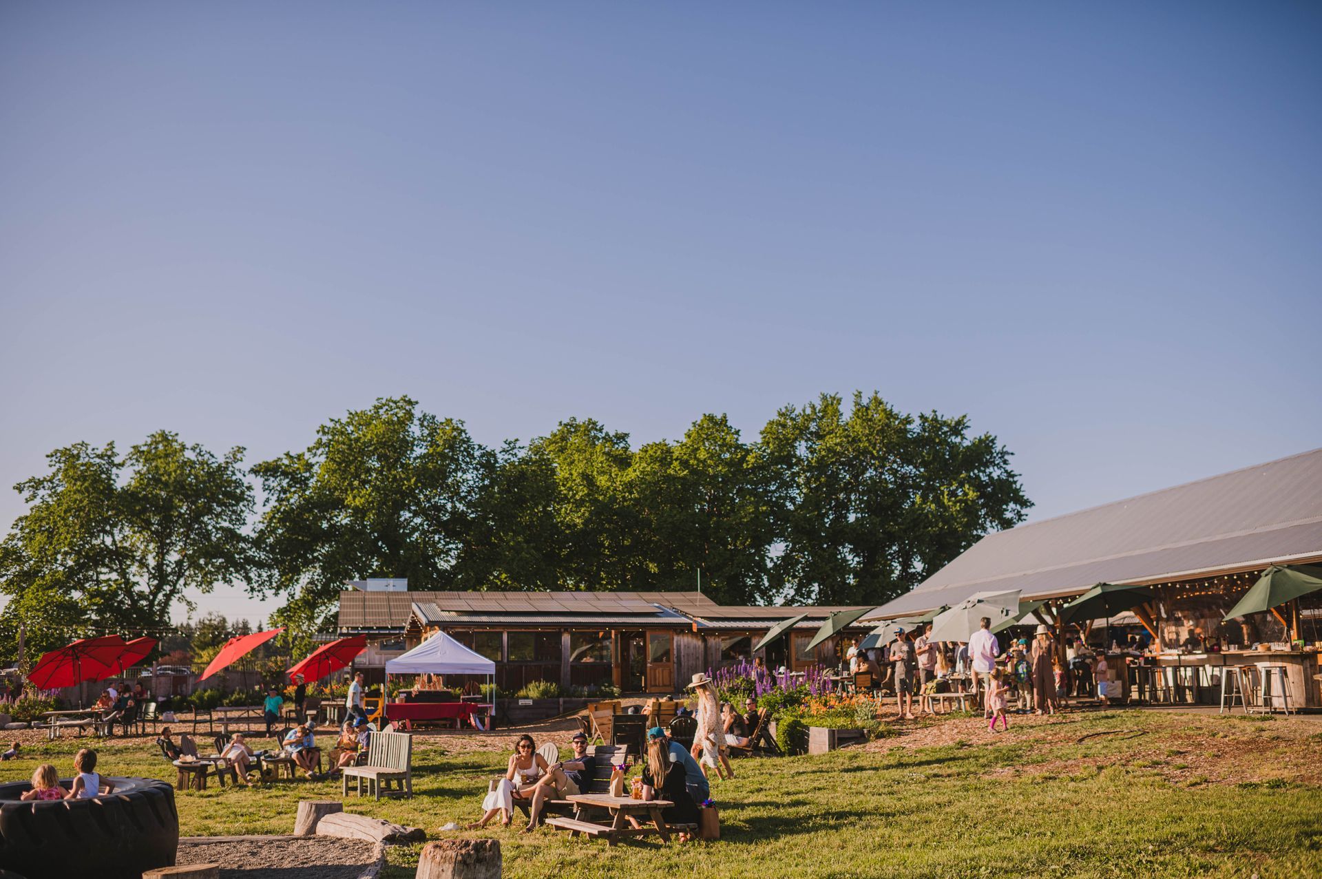 cidery tour