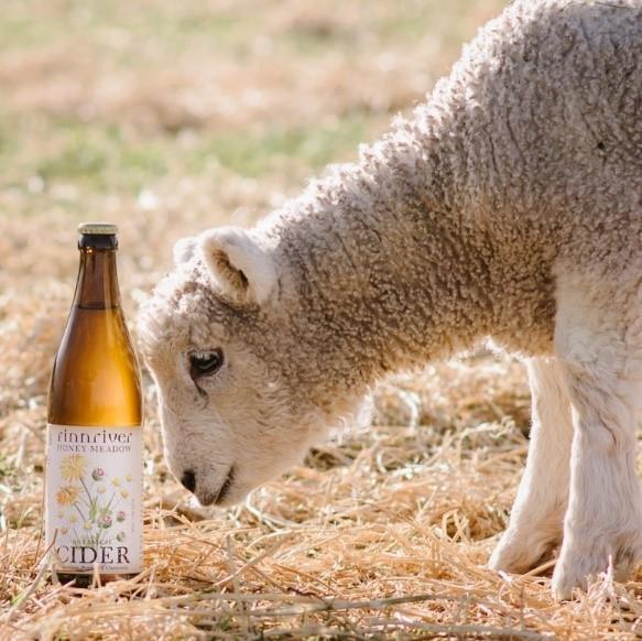 THE RETURN OF SPRING