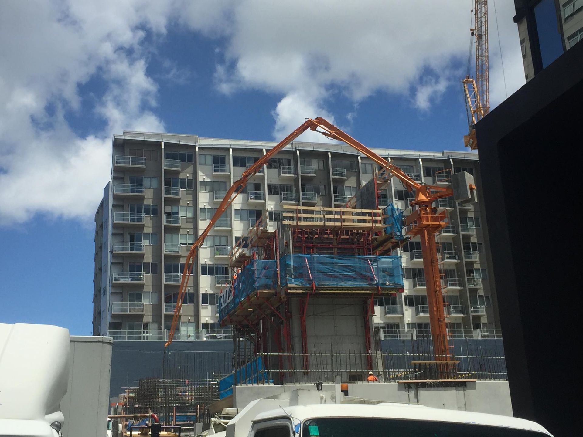 Sugar Tree Stage One To Three | Auckland, NZ | Pioneer