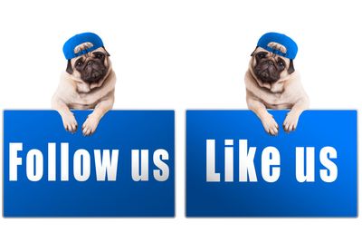 Healthepets Market Facebook page