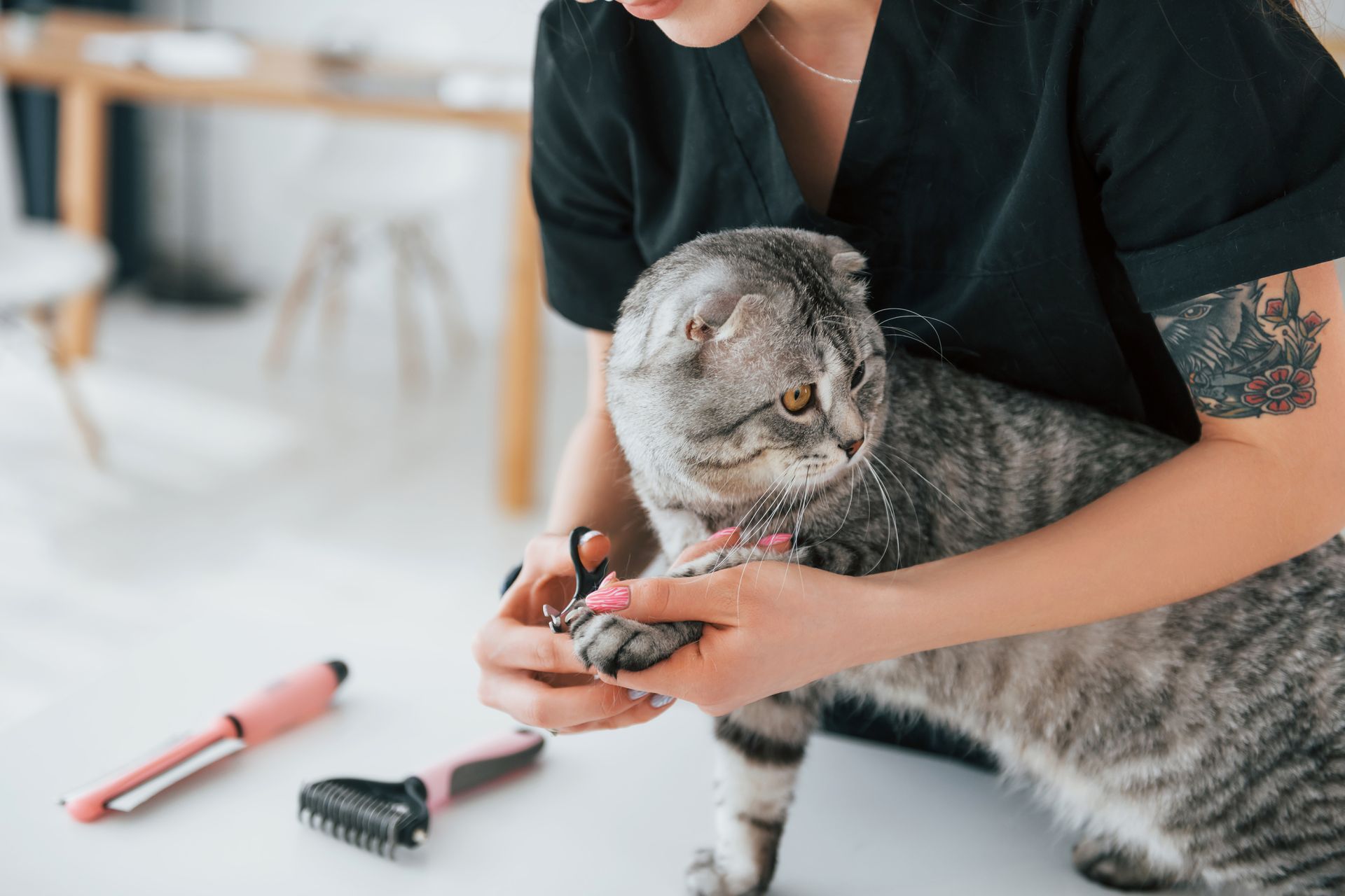A woman is cutting a cat 's nails with a pair of scissors.