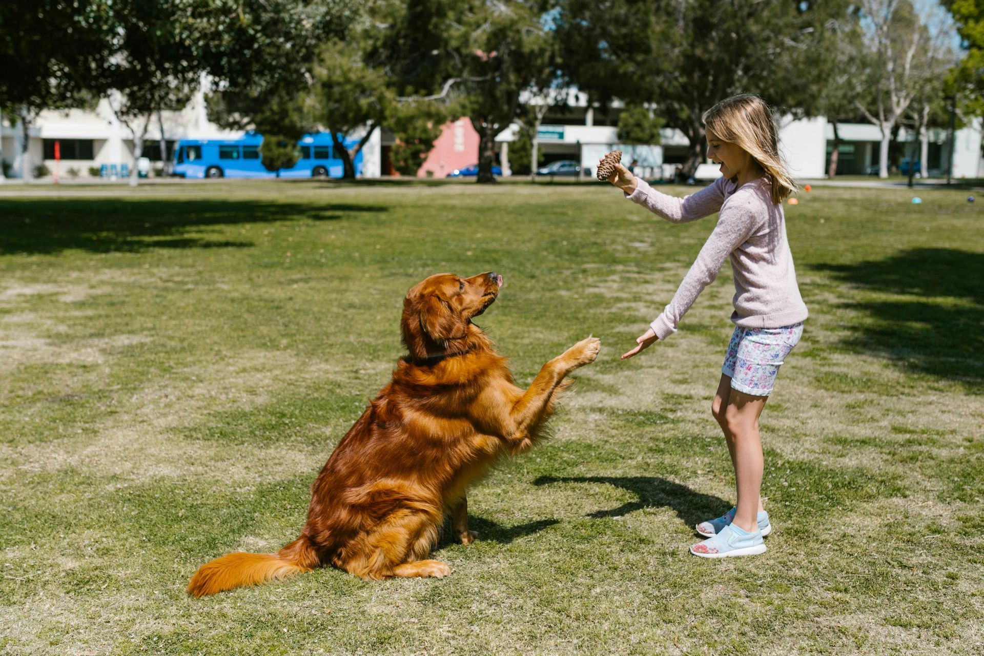 A little girl is playing with a dog in a park.
