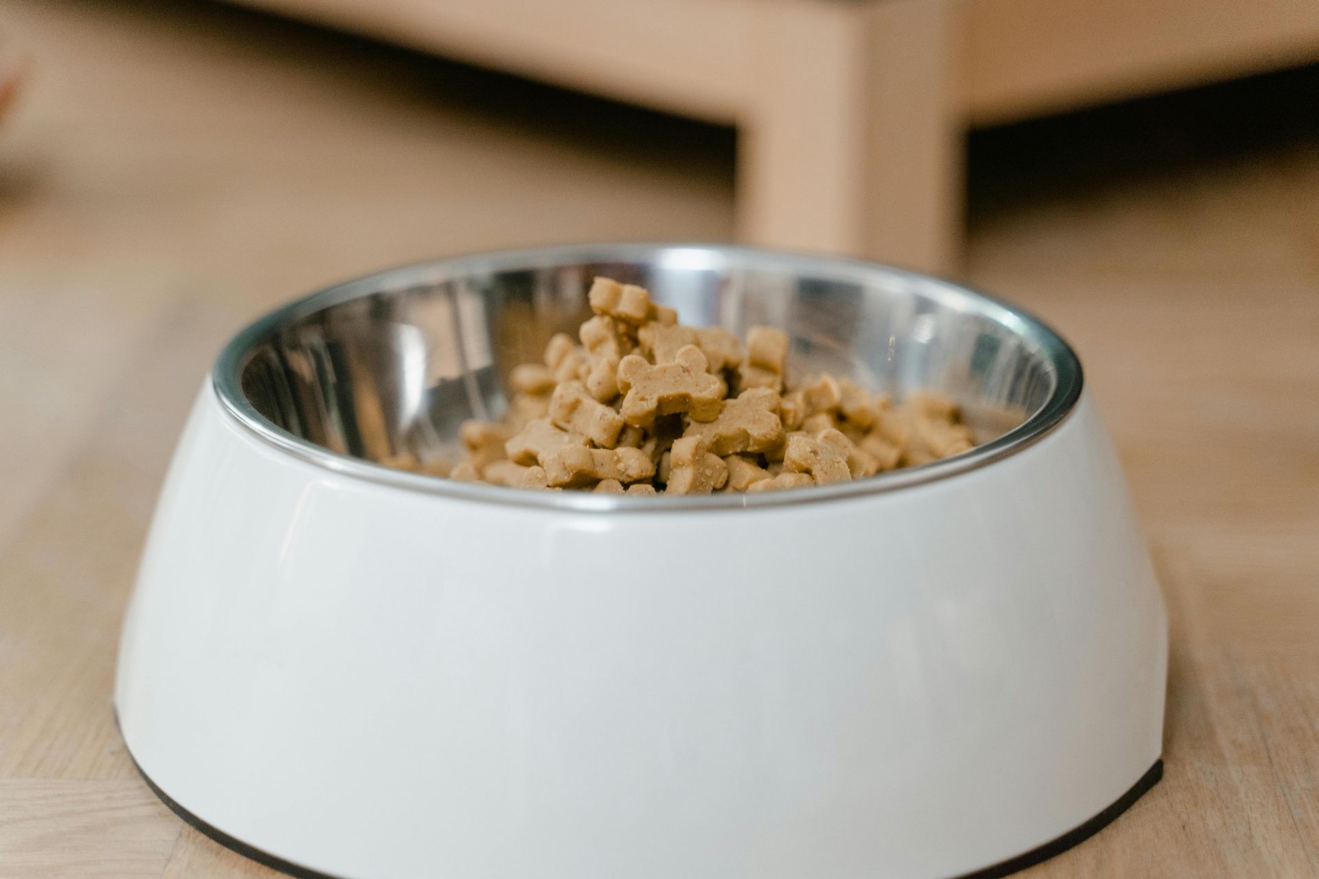 A white bowl filled with dog food on a wooden floor