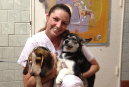 Vet with 2 puppies - Veterinary Hospital in Norfolk VA