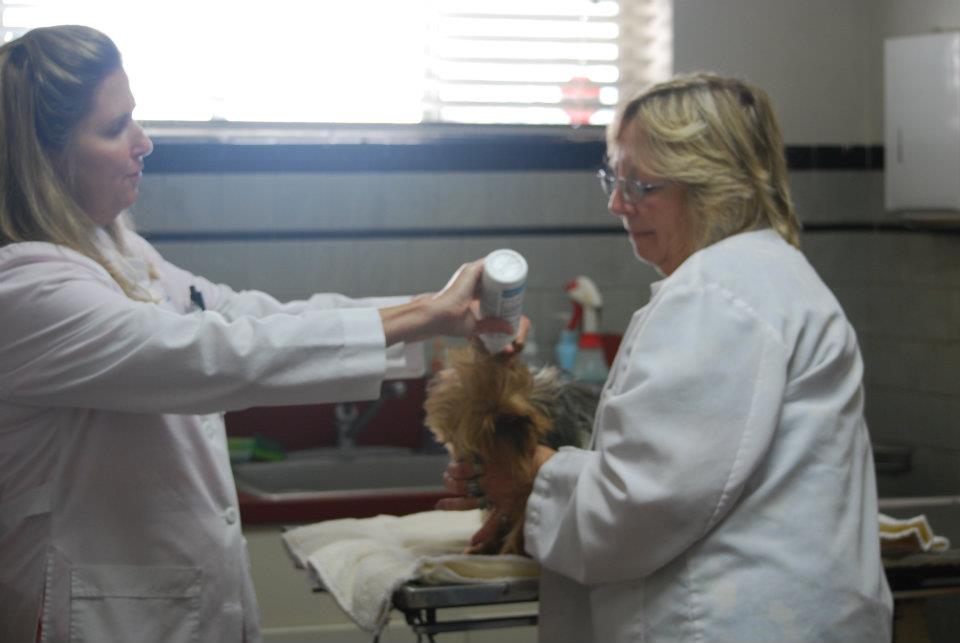 2 Doctors with puppy — Veterinary Hospital in Norfolk VA