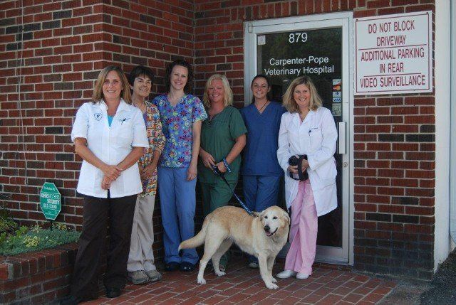 Veterinary Team — Veterinary Hospital in Norfolk VA