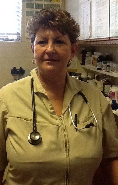 Vet with stethoscope — Veterinary Hospital in Norfolk VA