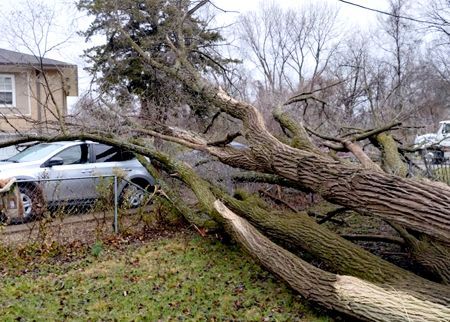 A car is parked in front of a house next to a fallen tree.