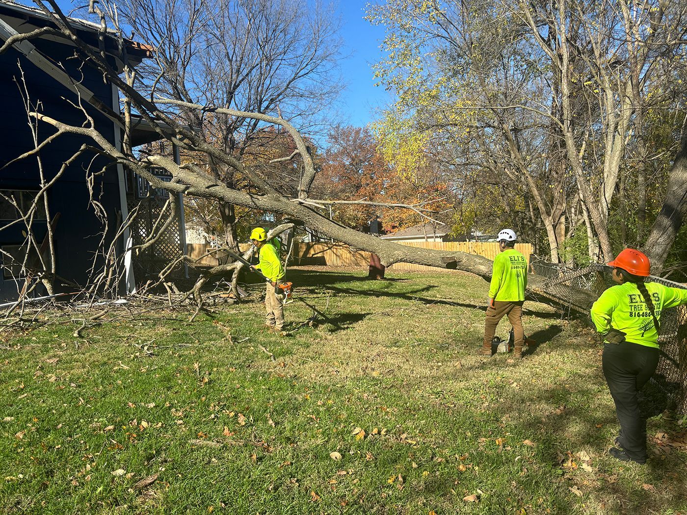 Three workers in high-visibility clothing stand near a large fallen tree resting against a structure in a grassy yard.