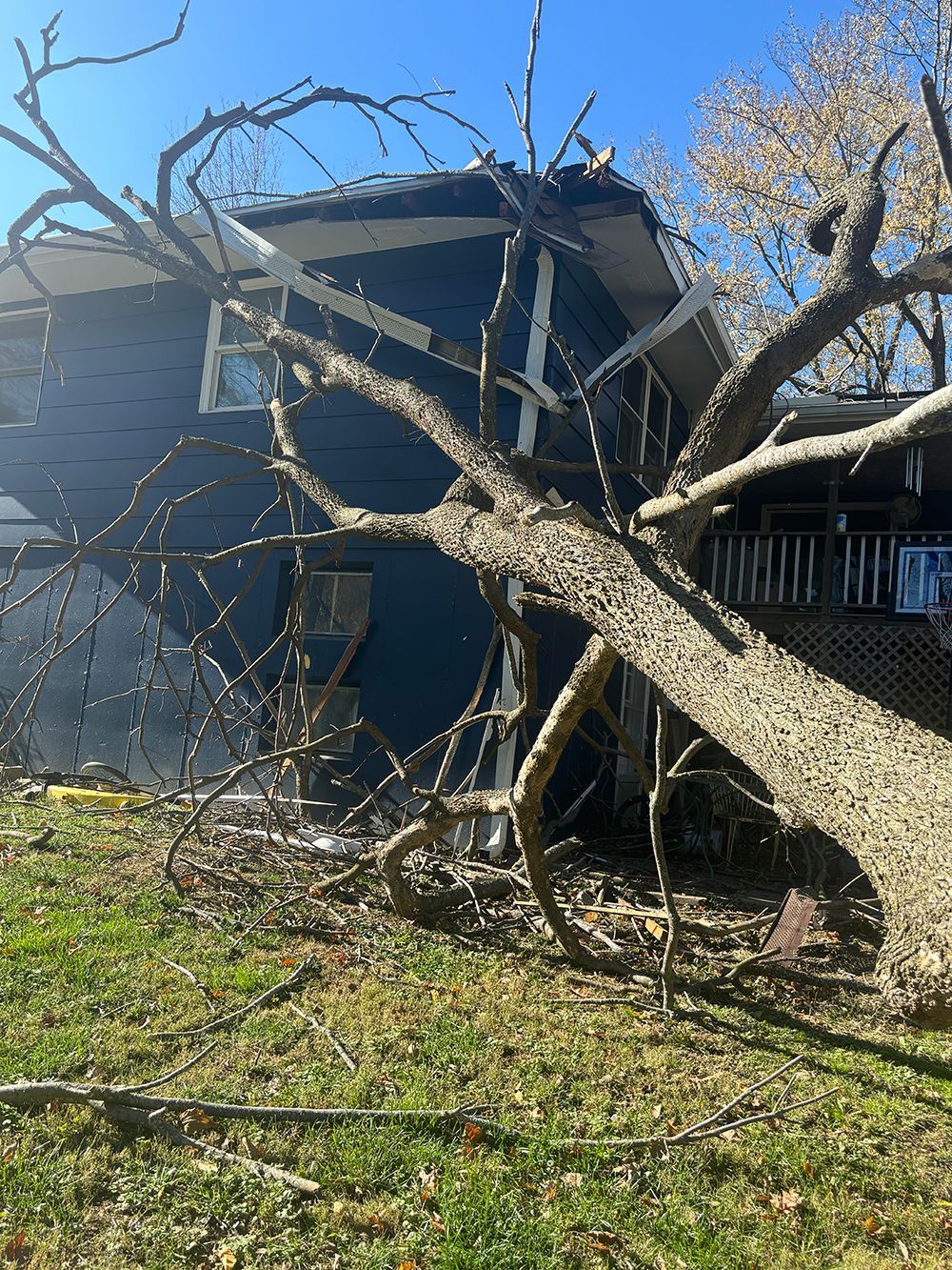 A large tree has fallen onto the side of a blue two-story house, causing visible damage to the roof and siding.