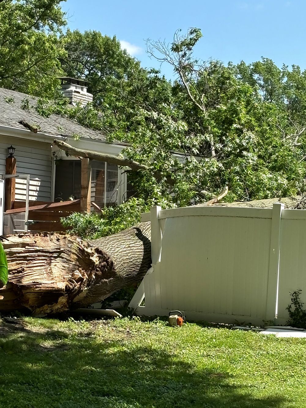A large fallen tree rests against a white vinyl fence in a backyard, with tree branches reaching over a nearby house.
