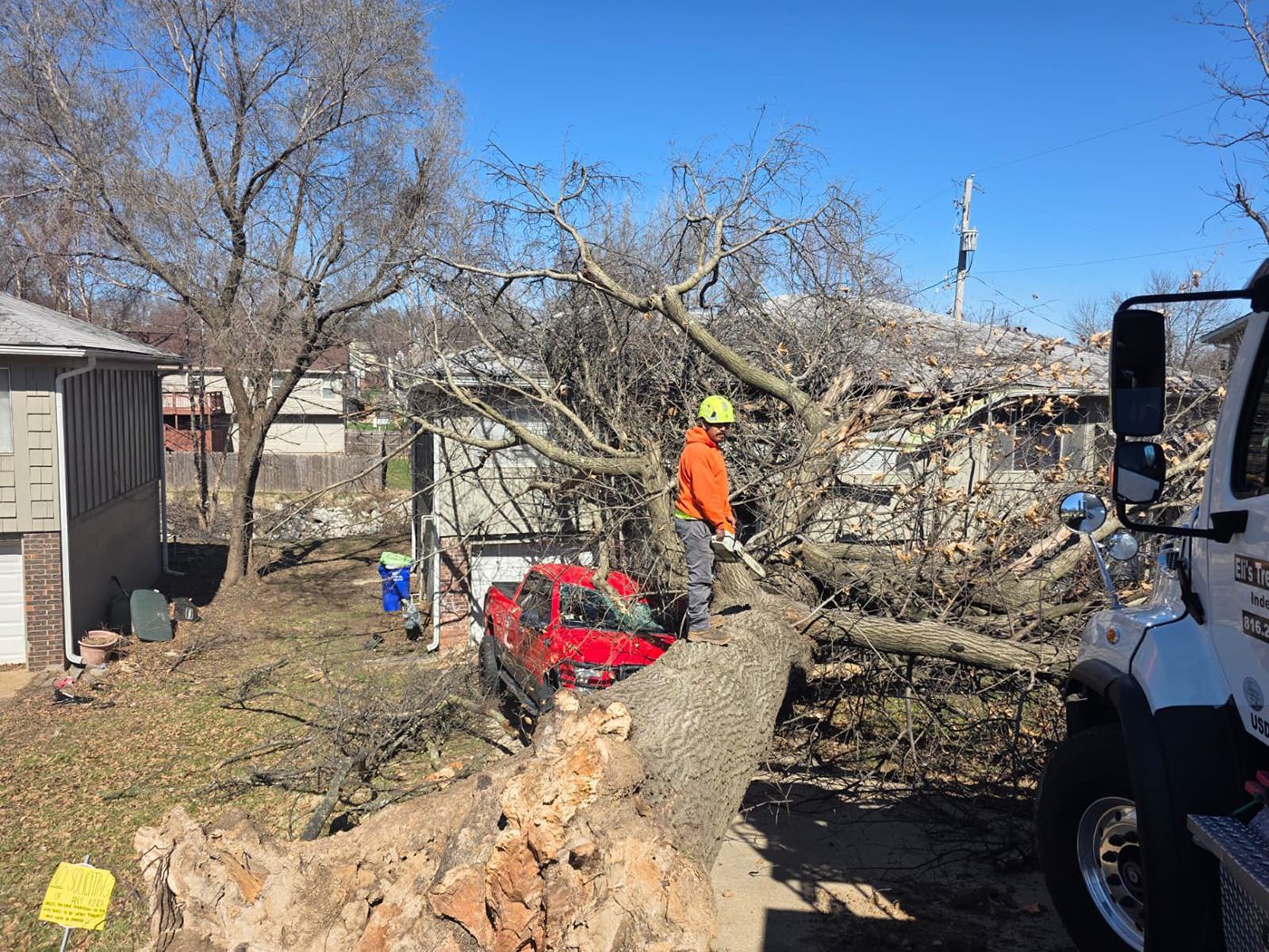 A worker in a bright orange jacket and yellow helmet stands on a large, fallen tree limb next to a damaged red vehicle.