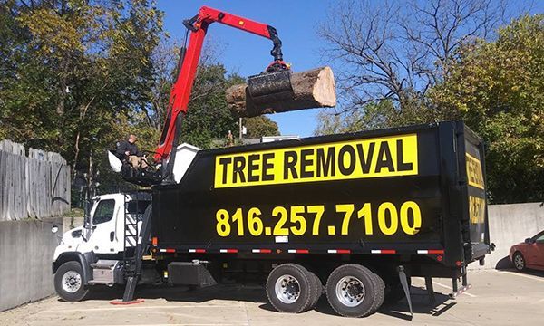 A tree removal truck with a crane attached to it