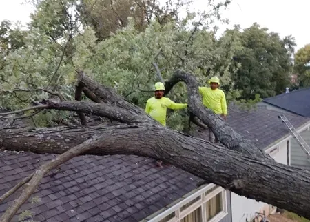 Two workers in bright yellow shirts and hard hats stand on a residential roof next to a fallen tree branch.