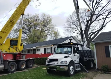 A yellow crane and a white bucket truck parked in a residential yard near a house and trees.