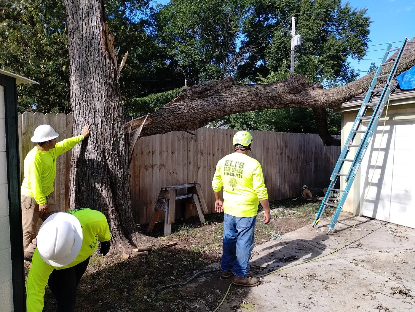 Three workers in neon yellow shirts and hard hats inspect a large tree that has fallen onto a house roof.
