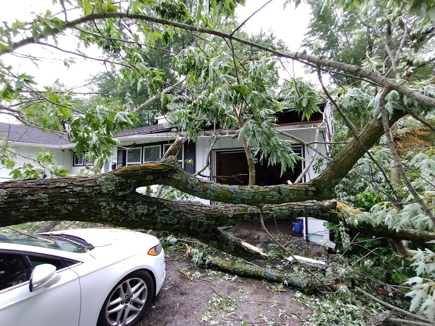 A large tree has fallen onto the roof of a white house, with a white car parked in the foreground.