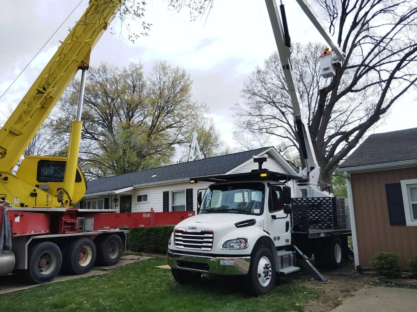 A yellow crane and a white utility truck with an extended boom bucket are parked in a yard near homes, trimming trees.