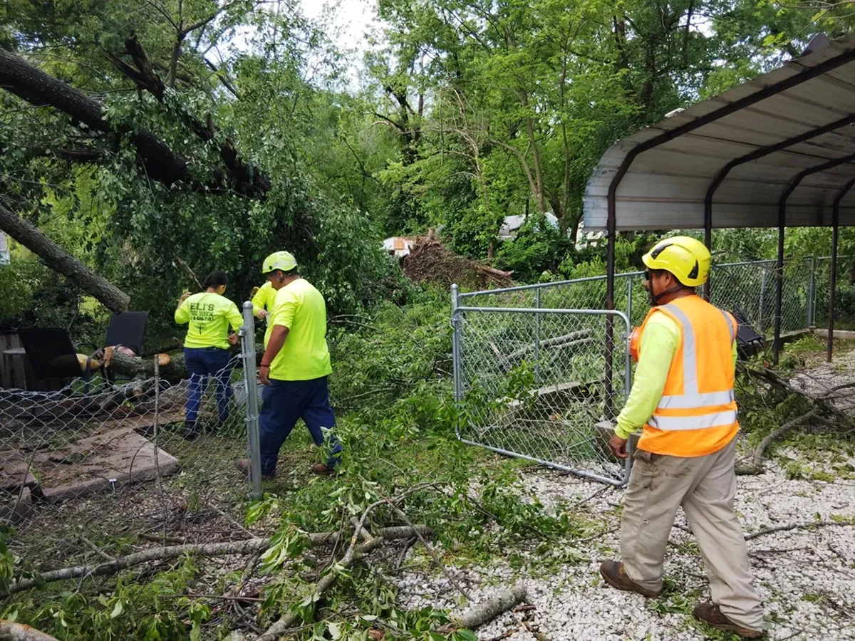 Three workers in bright neon safety gear clear fallen tree branches and debris near a chain-link fence.