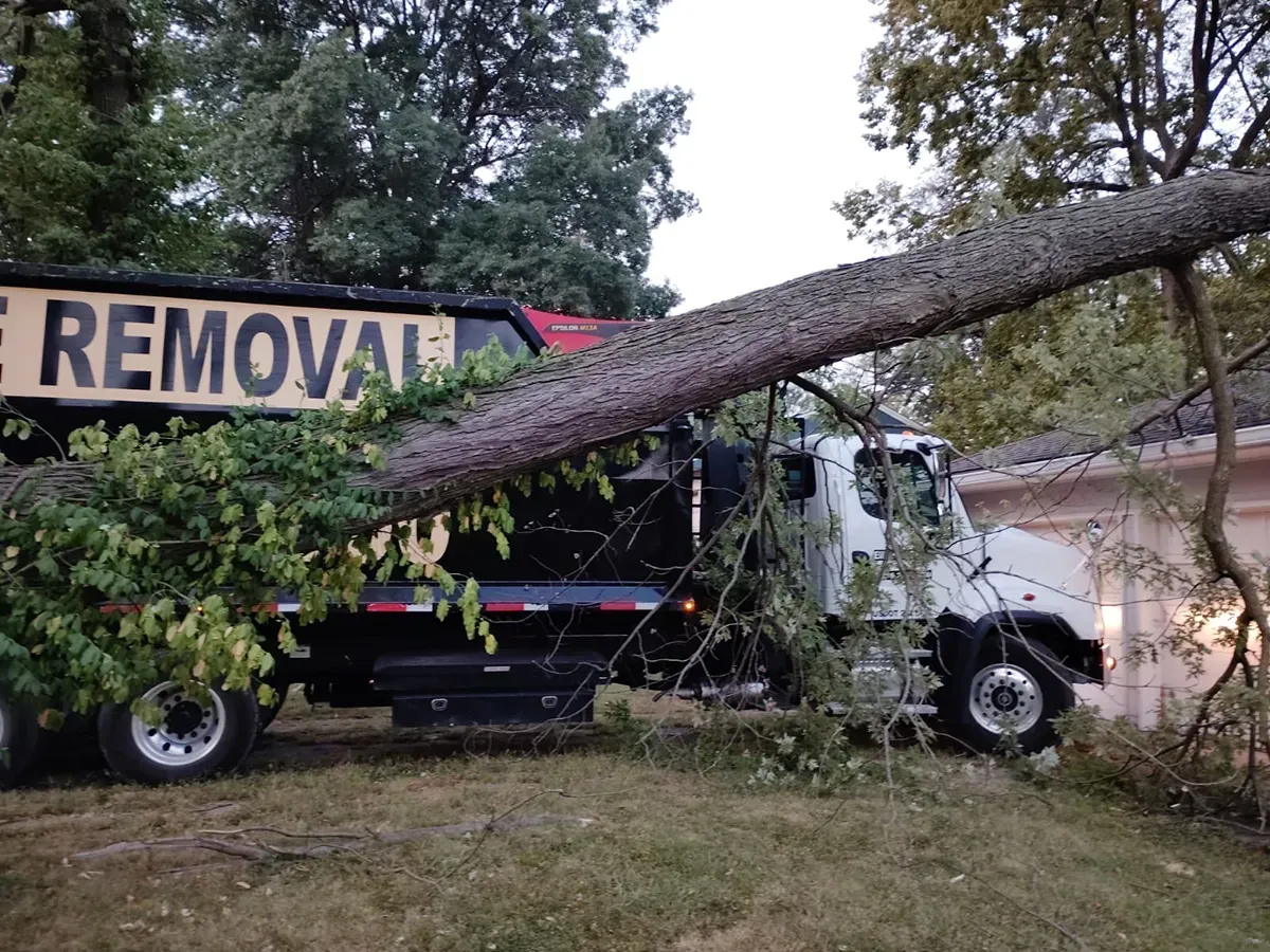 A large tree has fallen across a parked white truck labeled 