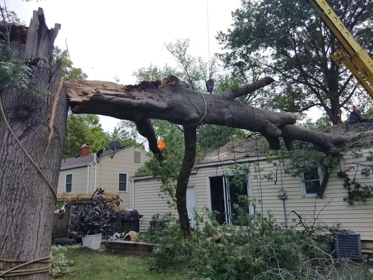 A crane lifts a large, broken tree limb off the roof of a suburban house during a cleanup operation.