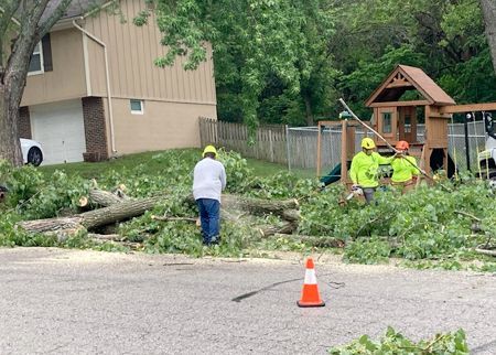 A group of people are working on a tree in front of a house.