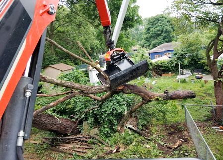 A crane is lifting a tree branch in a field.