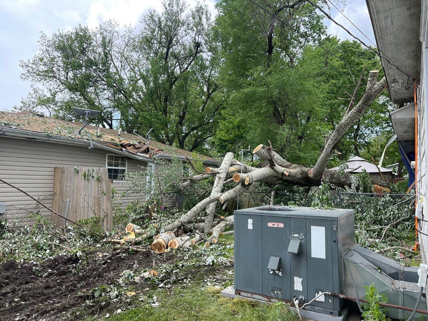 A large tree has fallen onto a house, damaging the roof and covering the yard with debris.