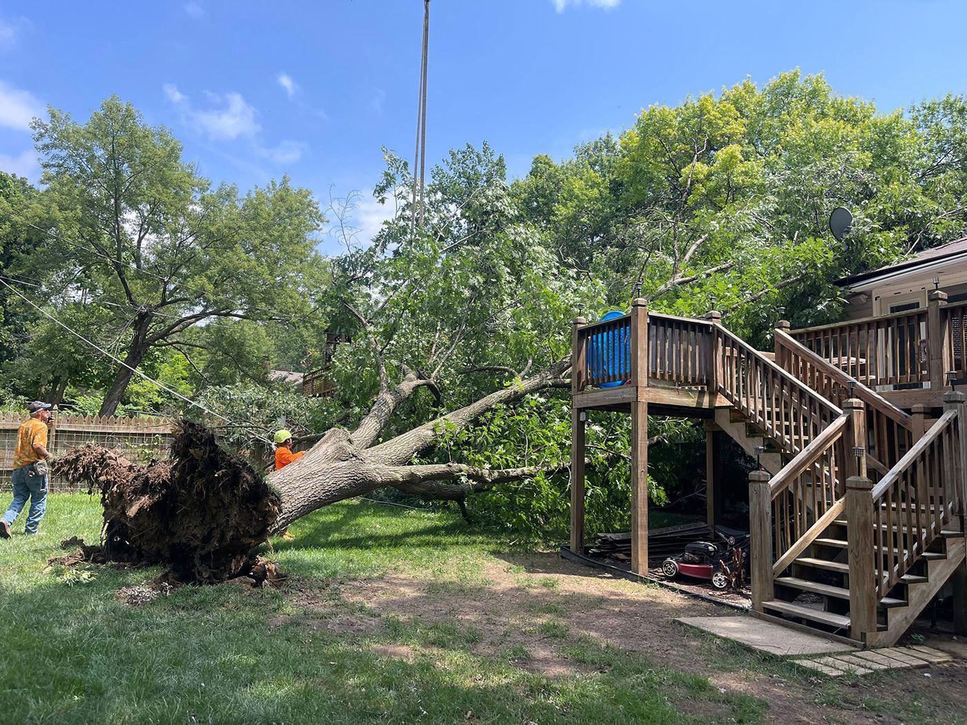 A large fallen tree lies in a backyard next to a wooden deck. Two workers are present near the tree.