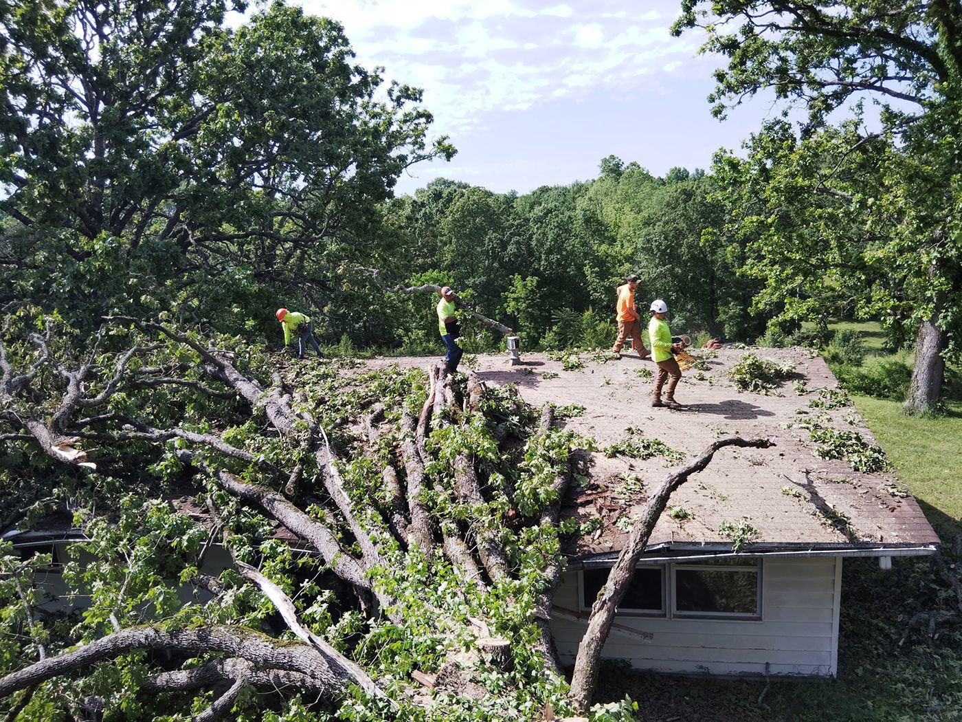 Tree removal workers on a roof clearing fallen branches. Sunny day, green foliage, and several workers in safety gear.