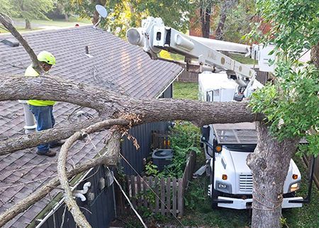 A car is parked in front of a house next to a fallen tree.