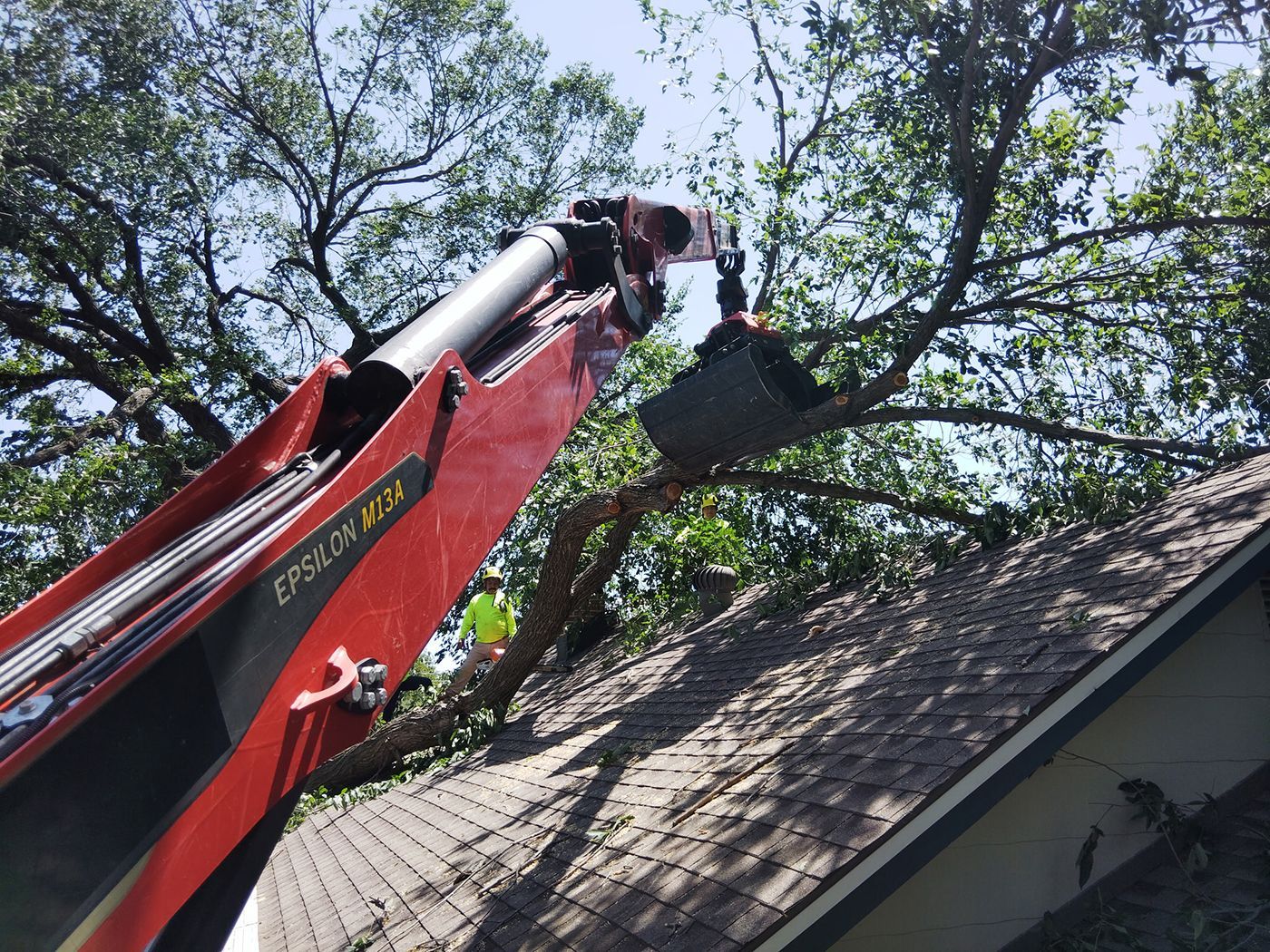 Red crane removing tree branches from a roof; a person in green vest visible.