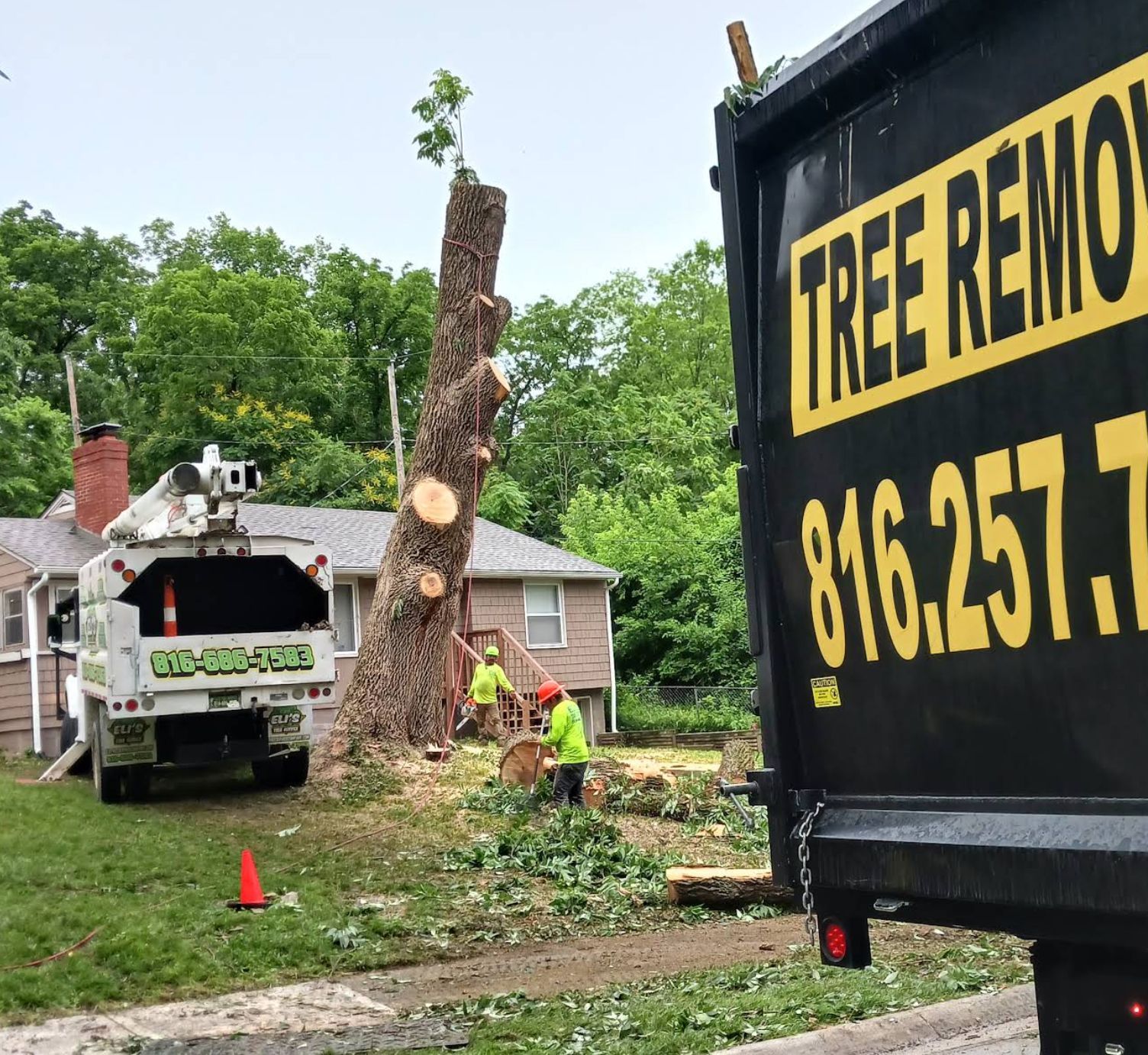 A tree removal truck is parked in front of a house