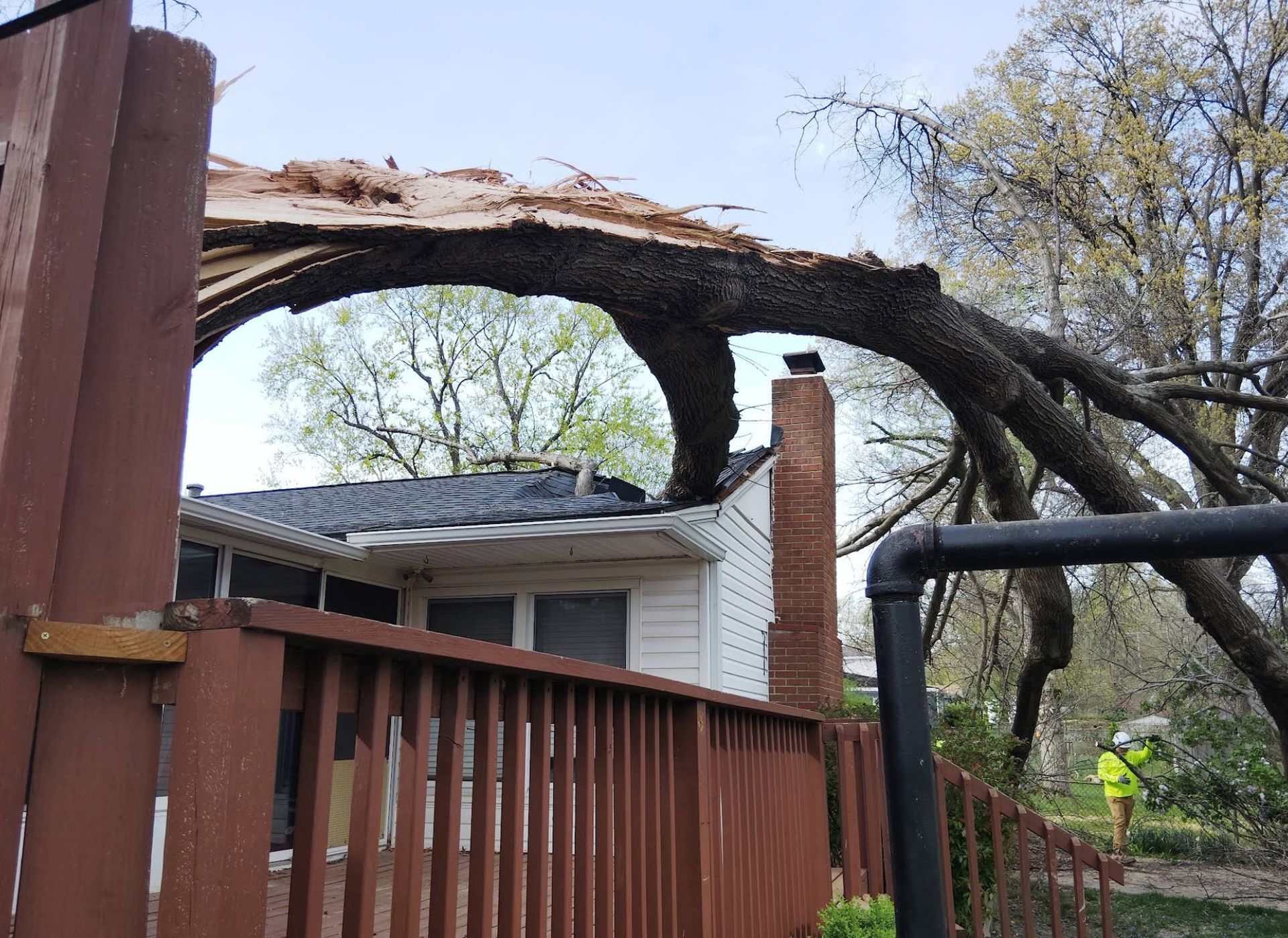 A tree has fallen on the roof of a house.