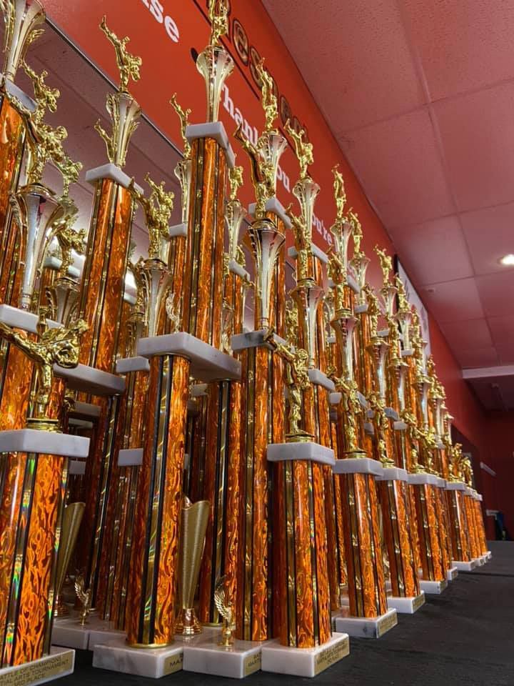 a row of trophies are lined up in a room