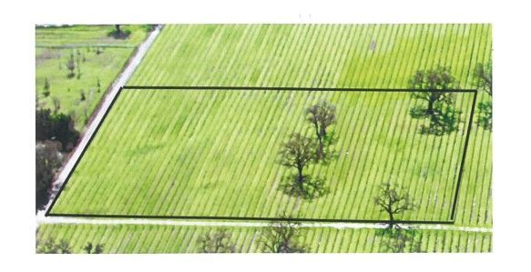 Aerial view of rectangular field with trees; green grass, dirt road.