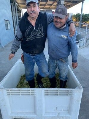 Two men stand in a large white bin of green matter, wearing boots. One has an arm around the other, both smiling.