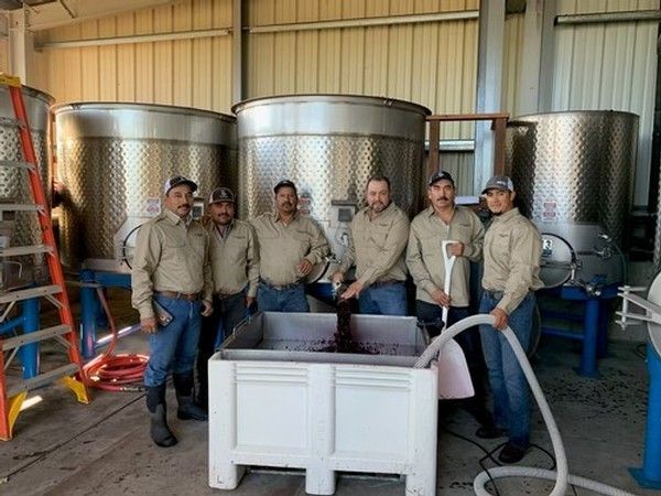 Group of six men in a winery, posing by tanks and a vat of red liquid.